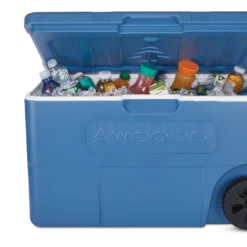 Woods Boreal Cooler, 65-L, Blue -Wander Camp Shop woods 65l cooler dfc949a9 54b9 4b0e baa1 a8e4268ca320