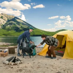 Woods Terra Powerlite Folding Camping Chair With Sand/Snow Platform & Carry Bag 23 Woods Terra Powerlite Folding Camping Chair With Sand/Snow Platform & Carry Bag -Wander Camp Shop woods cascade 4 person tent 4c579f75 456b 4359 ac5f fa362ade70d3 2