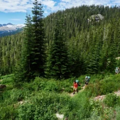 Woods Chilkoot Lightweight Water-Resistant Backpack For Hiking/Camping/Travel, 40-L 25 Woods Chilkoot Lightweight Water-Resistant Backpack For Hiking/Camping/Travel, 40-L -Wander Camp Shop woods chilkoot 40l 63db9af5 19fa 4558 a318 cd77943afce0