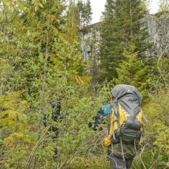 Woods Expedition Peak Lightweight Water-Resistant Backpack For Hiking/Camping/Travel, 60-L -Wander Camp Shop woods expedition peak backpack 60l 18afde8e 05e5 4be9 99ac 4241e8ee8496