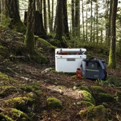 Woods™ Soft Cooler Tote, 36 Can Capacity, 41.4-L, Grey 10 Woods™ Soft Cooler Tote, 36 Can Capacity, 41.4-L, Grey -Wander Camp Shop woods expedition series soft cooler tote 036fd6ee 2ebb 46c0 8e7a b39c20bff218